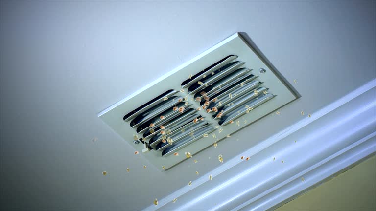 Best Dryer Vent Cleaning Services  in Bee Cave, TX