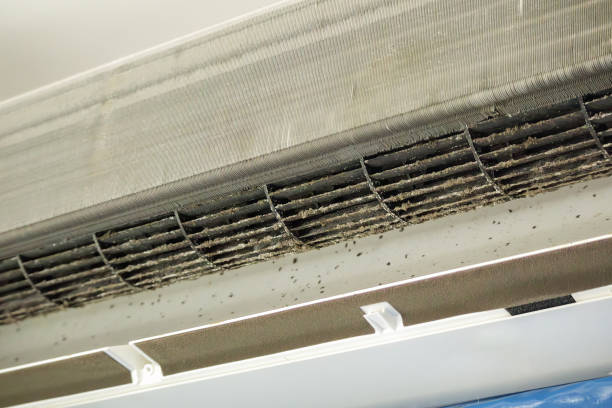 Best Air Vent Cleaning Services  in Bee Cave, TX